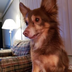 Meet your Posher, Luann